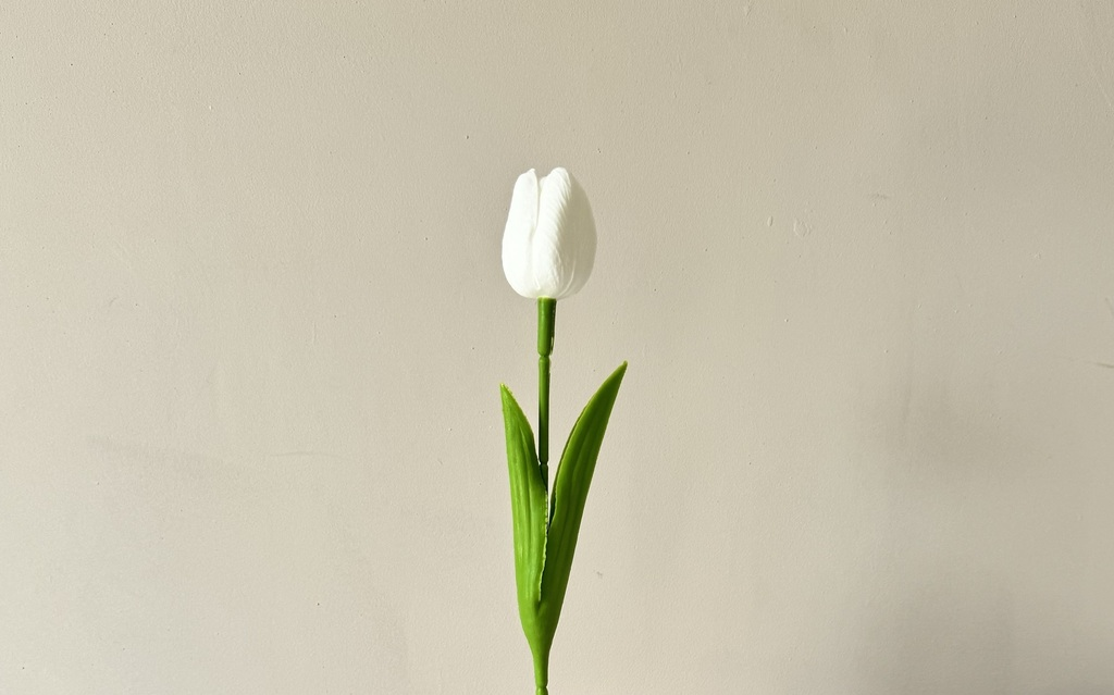 Flores de Temporada
